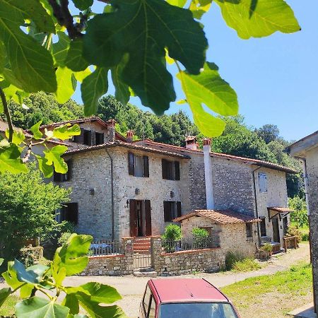 Cara House Tuscany - Zona Lucca Chiatri Eksteriør bilde