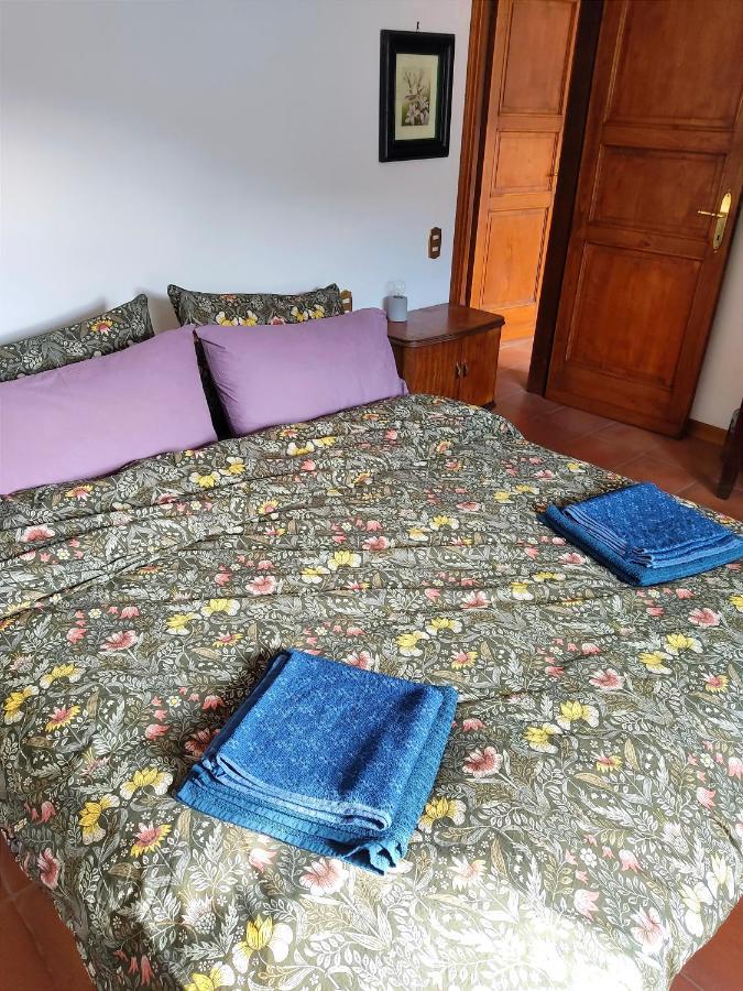 Cara House Tuscany - Zona Lucca Chiatri Eksteriør bilde